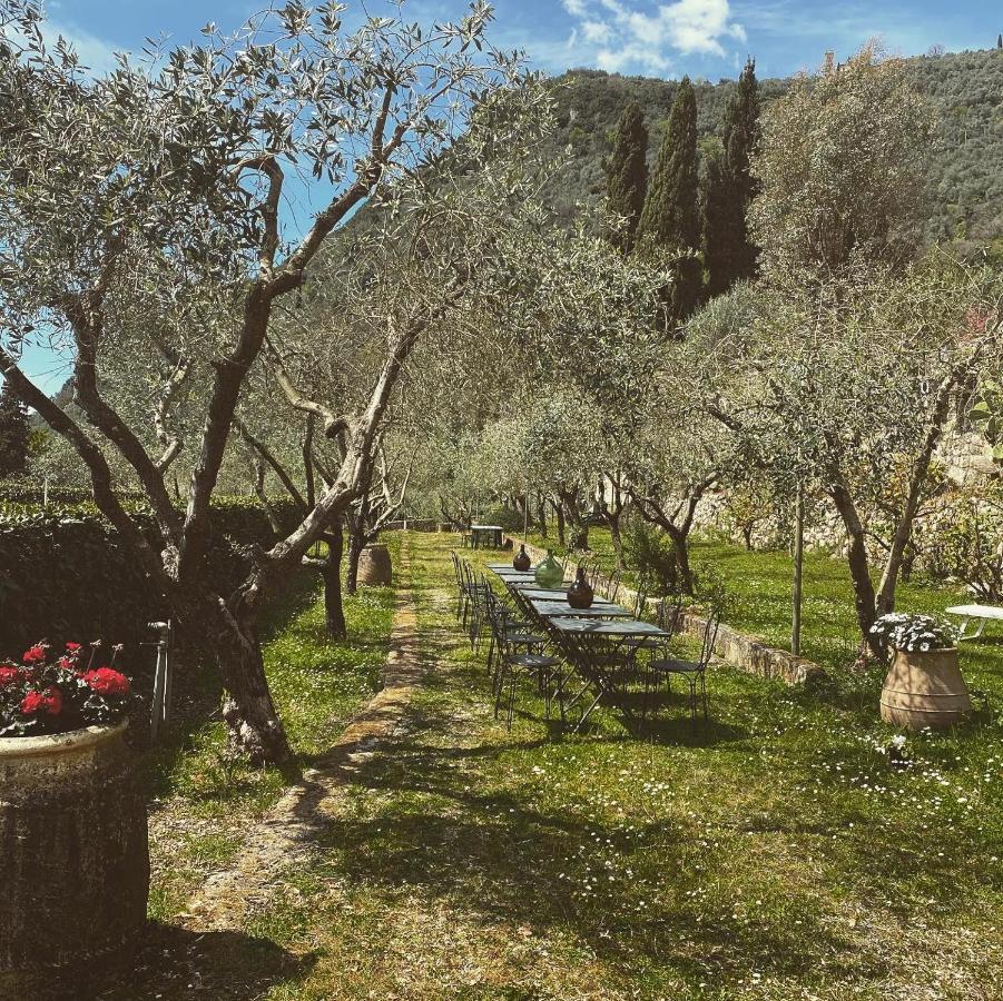 Sotto Il Cielo Di Toscana Appartamenti In Tenuta Only Adults No Pet Camaiore Bagian luar foto