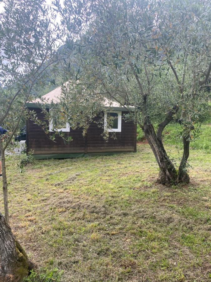 Sotto Il Cielo Di Toscana Appartamenti In Tenuta Only Adults No Pet Camaiore Bagian luar foto