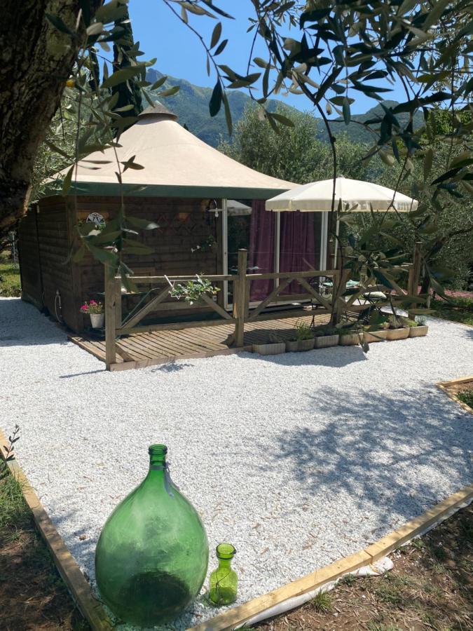 Sotto Il Cielo Di Toscana Appartamenti In Tenuta Only Adults No Pet Camaiore Bagian luar foto