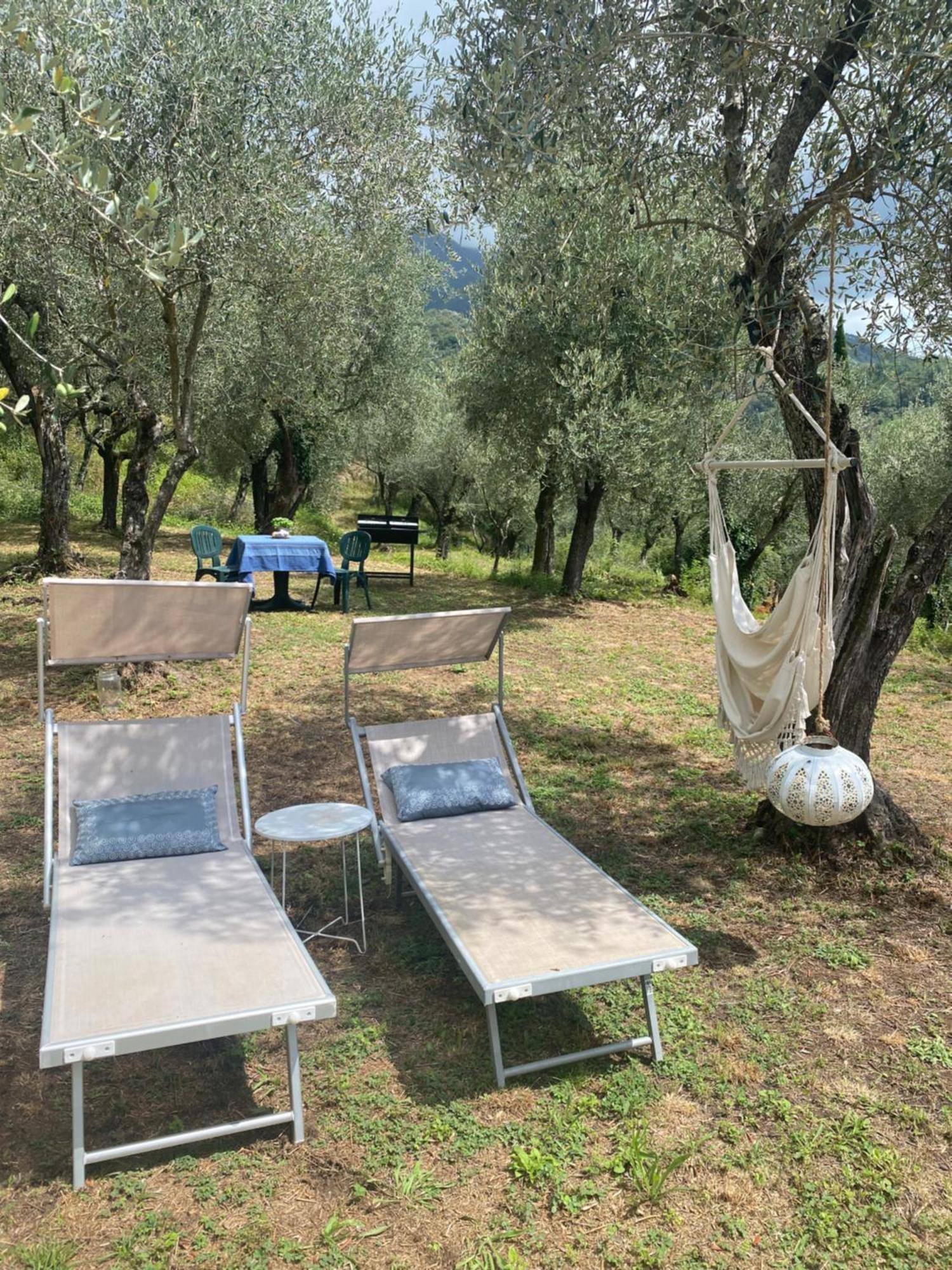 Sotto Il Cielo Di Toscana Appartamenti In Tenuta Only Adults No Pet Camaiore Bagian luar foto